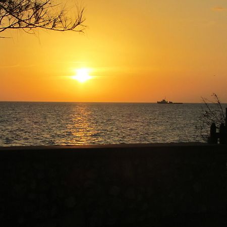Ocho Rios Villa At Coolshade IV Saint Annʼs Bay Exterior foto